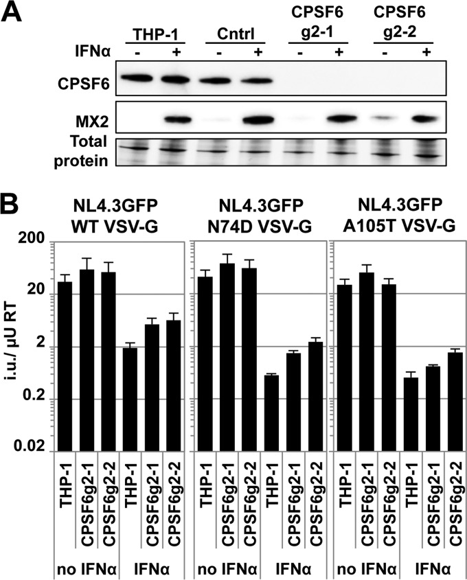 FIG 3