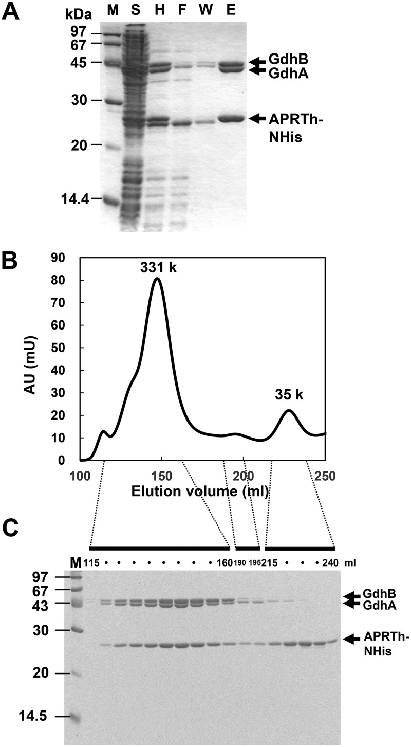 FIG 4