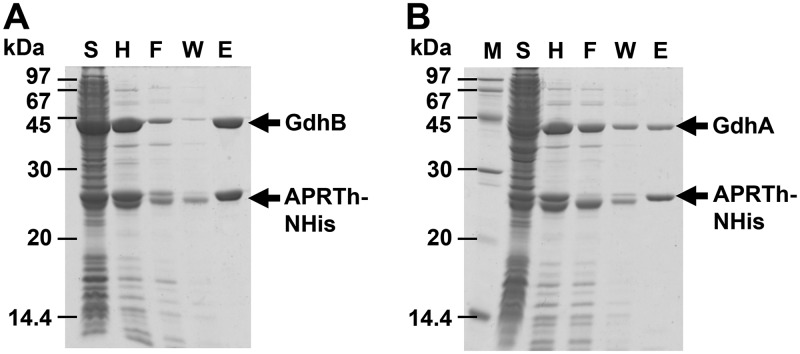 FIG 5