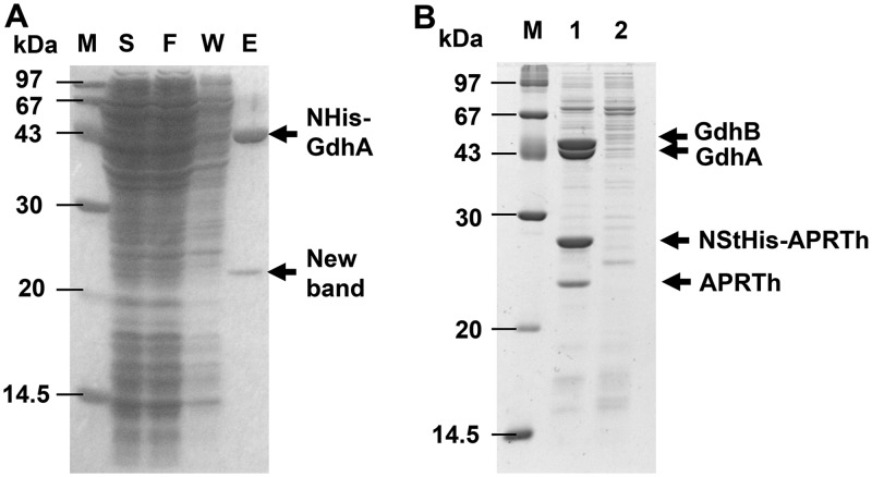 FIG 2