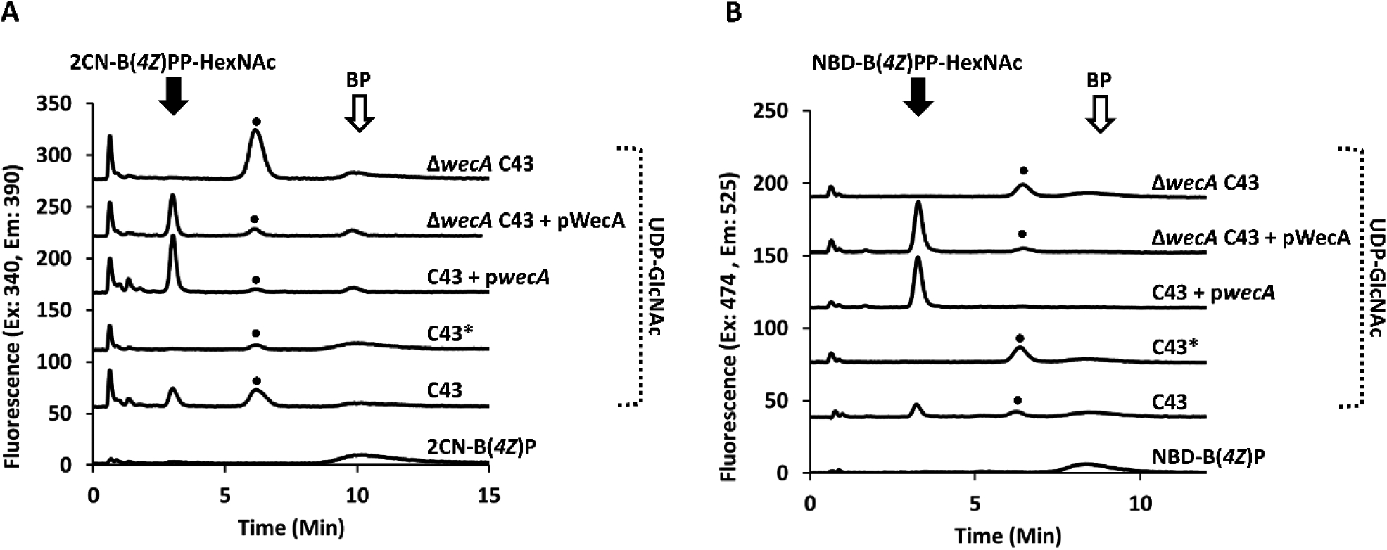 Figure 5.