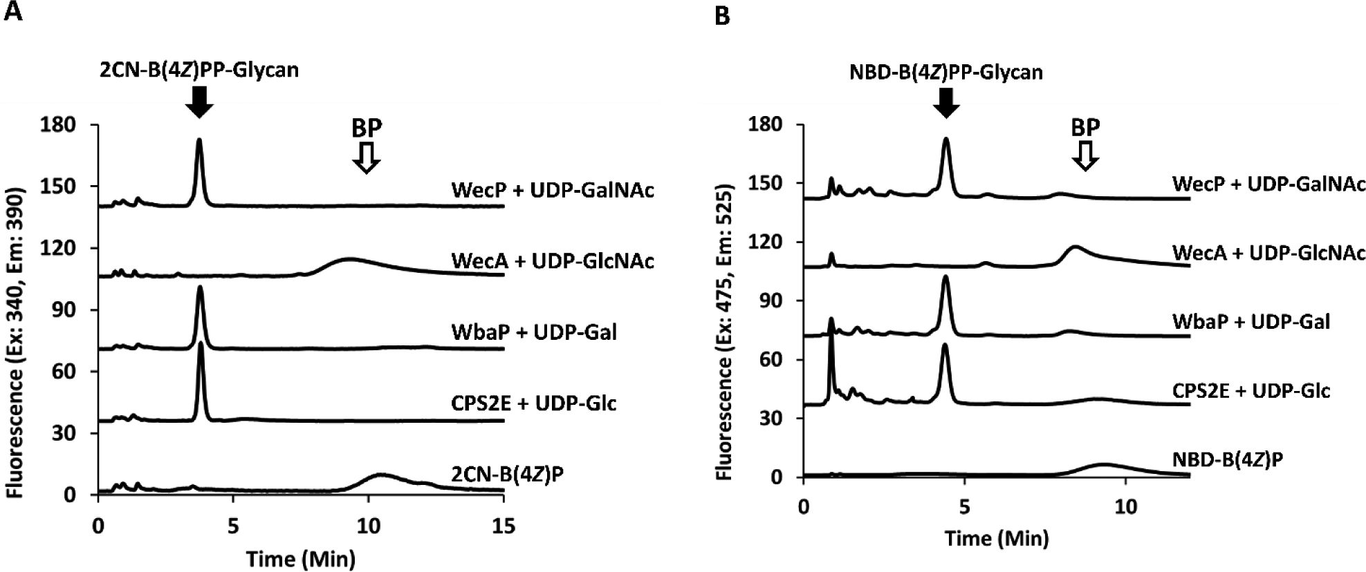 Figure 7.