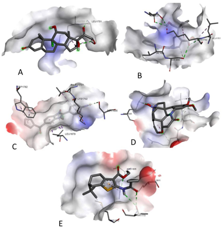 Figure 16