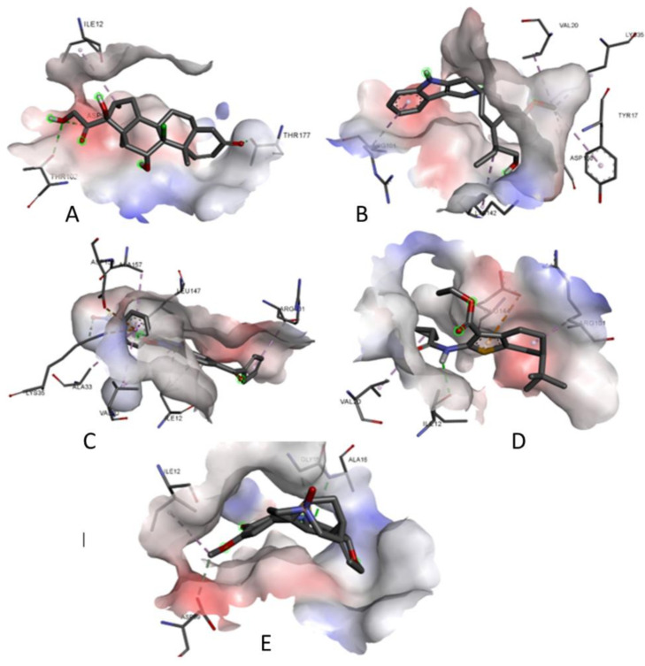 Figure 15