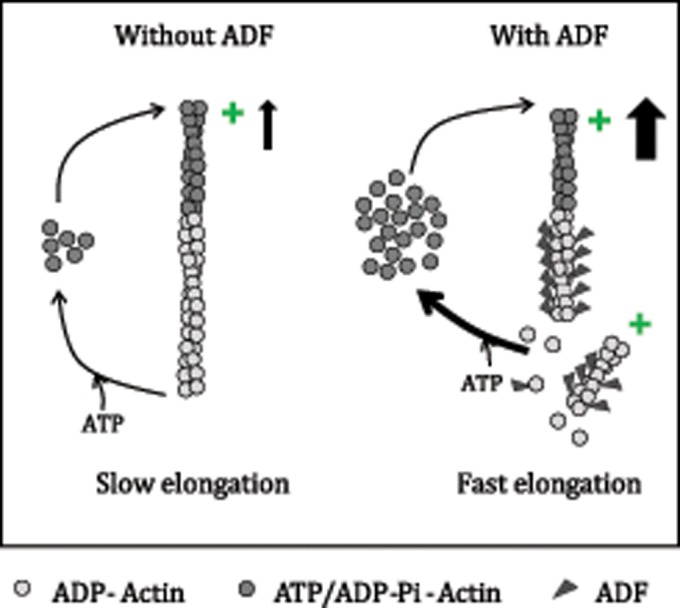 FIGURE 1: