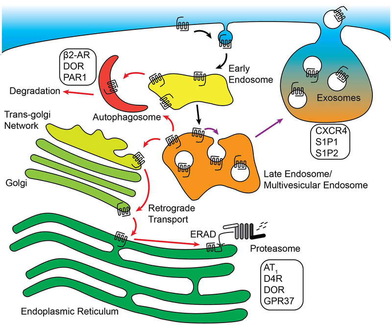 Figure 3: