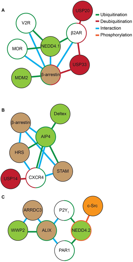 Figure 2: