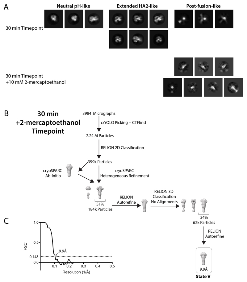 Extended Data Fig. 9