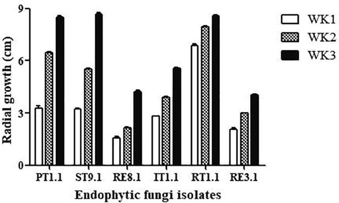 Fig. 4