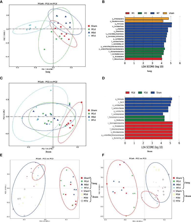 Figure 6