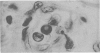 348-1
