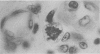 348-3