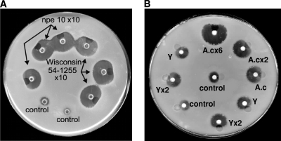 Fig. 2.