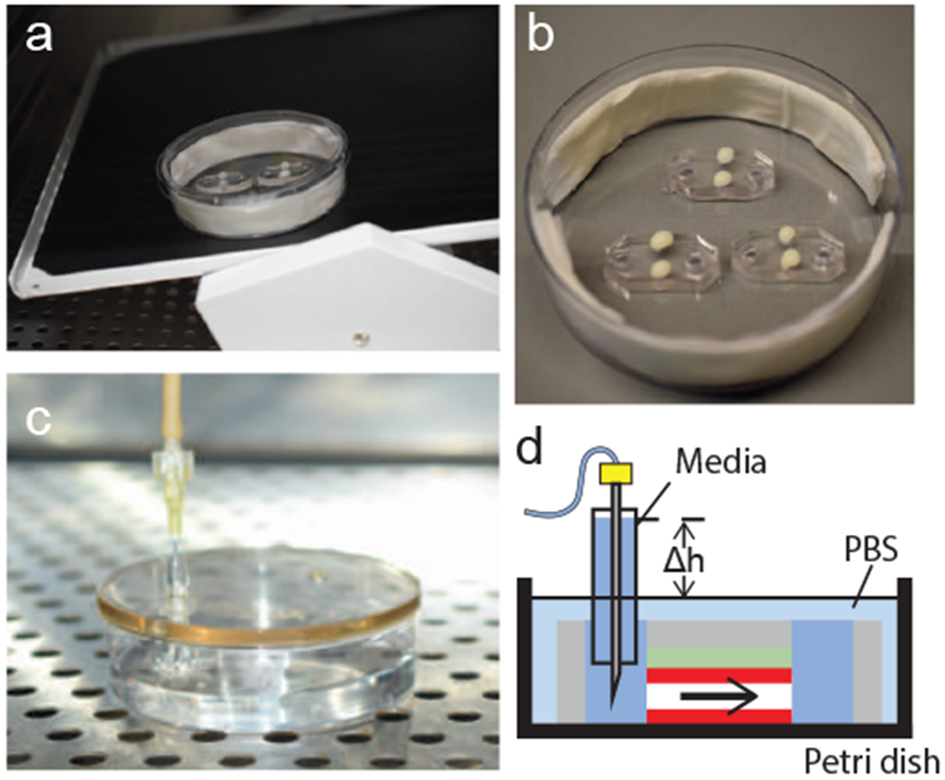 Figure 7: