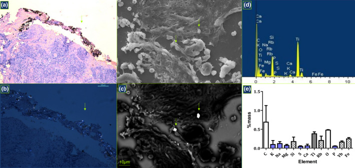 FIGURE 4