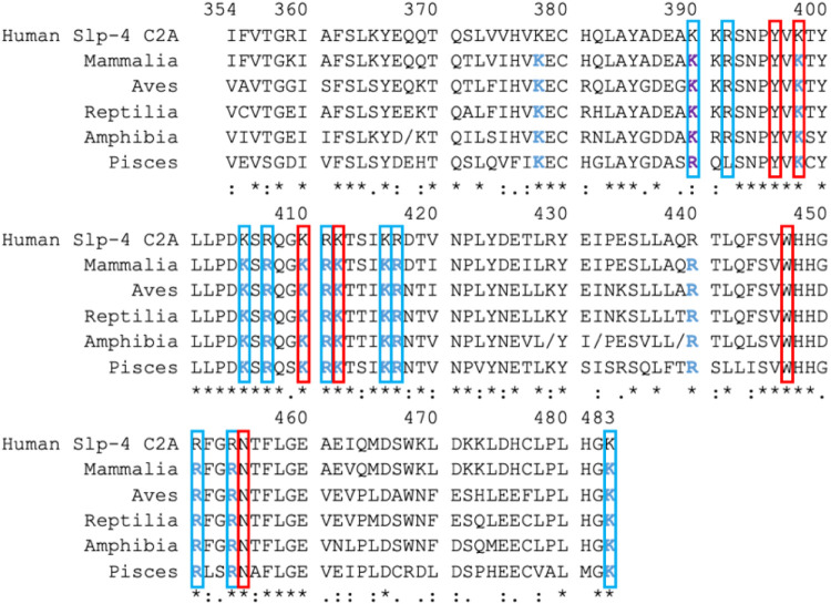 Figure 3: