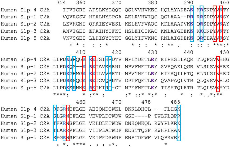 Figure 6: