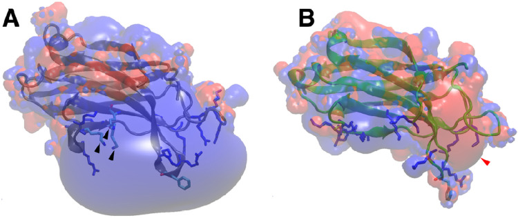 Figure 1: