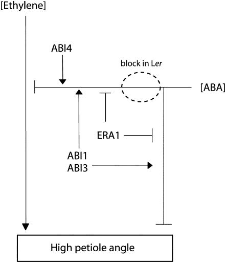 Figure 9.