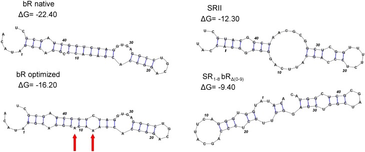 Fig 4