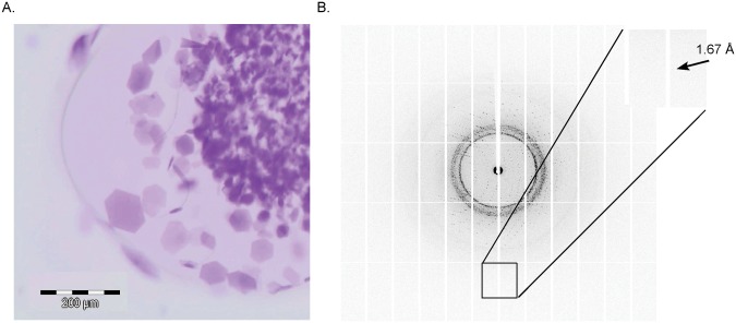 Fig 6