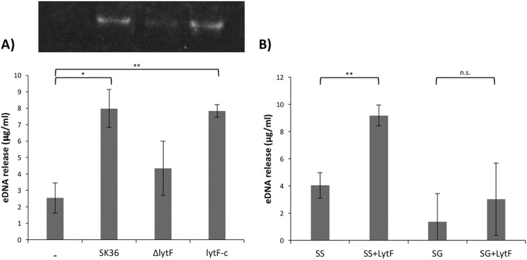 FIG 10