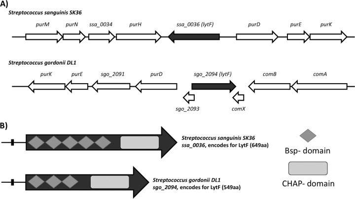 FIG 1