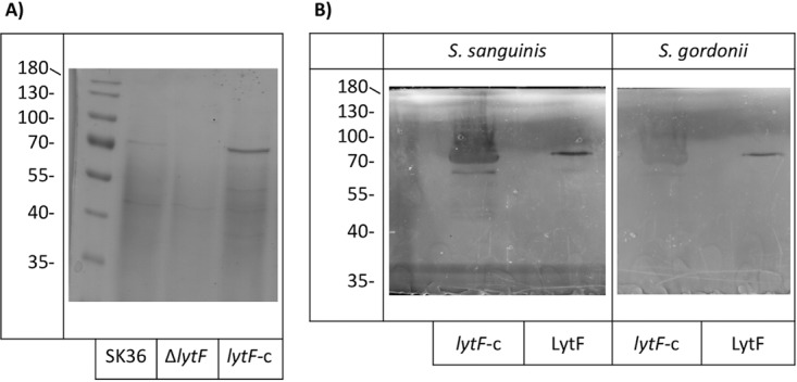 FIG 9