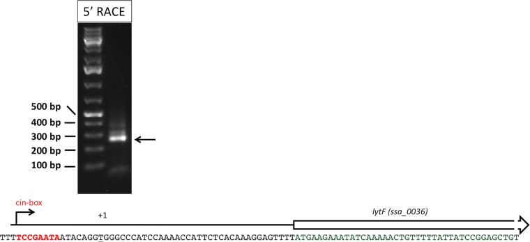 FIG 3