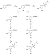 Scheme 5