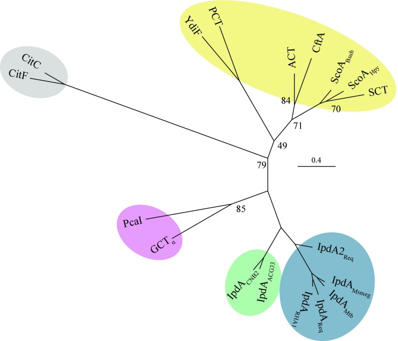 Fig. 2.