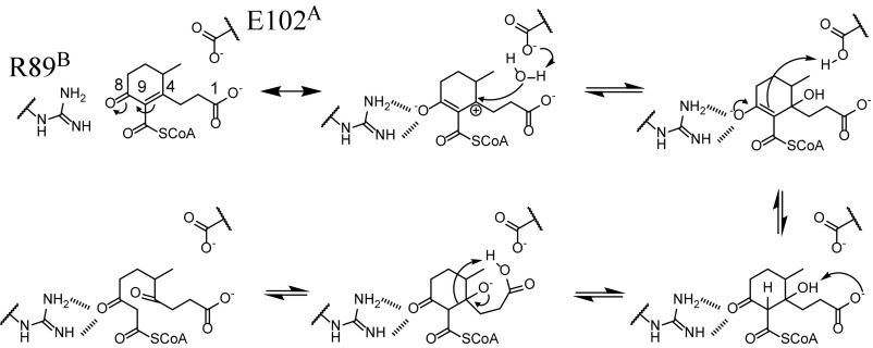 Fig. 8.