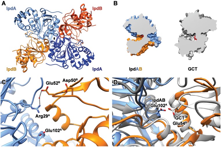 Fig. 4.