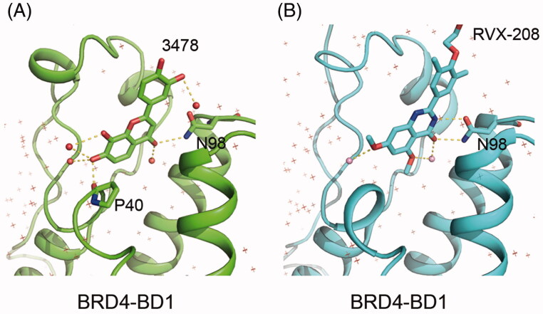 Figure 7.