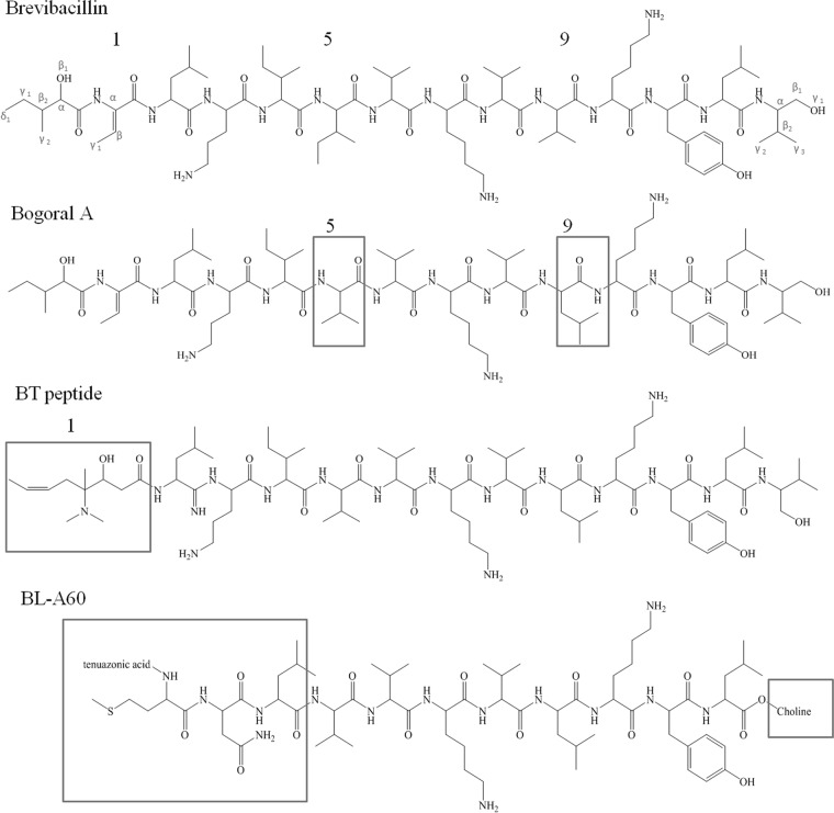 FIG 7