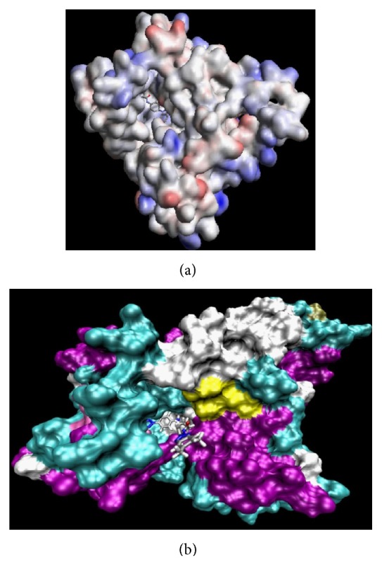 Figure 30