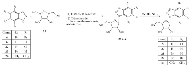 Figure 7