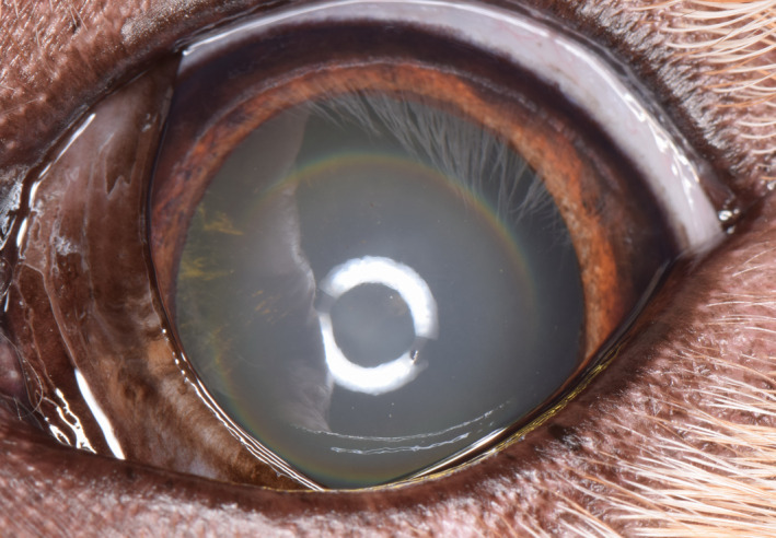 Figure 18