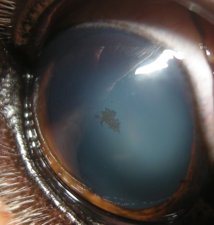 Figure 20