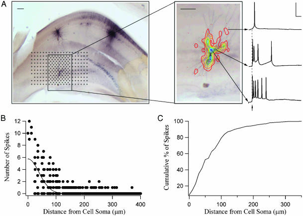 Fig. 1.