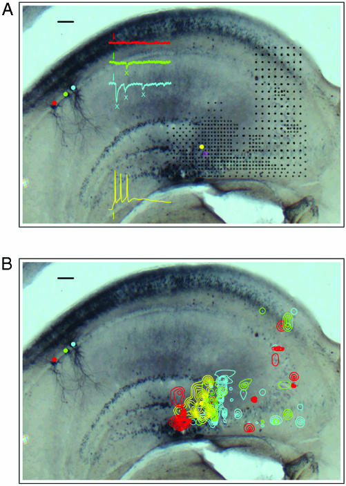 Fig. 2.