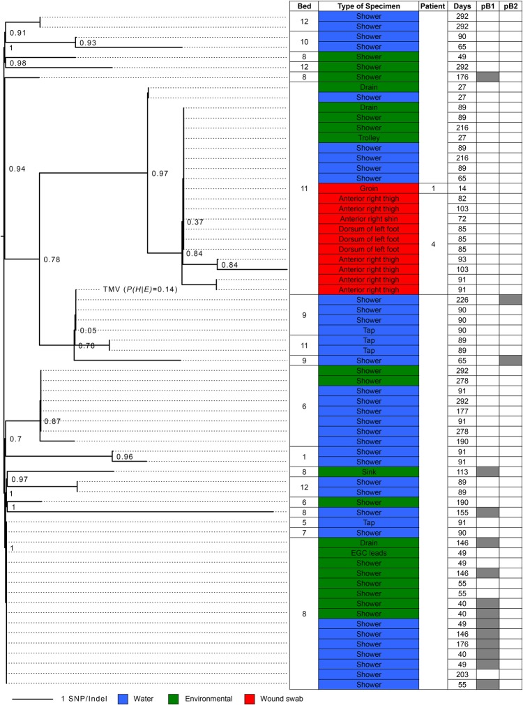 Figure 3