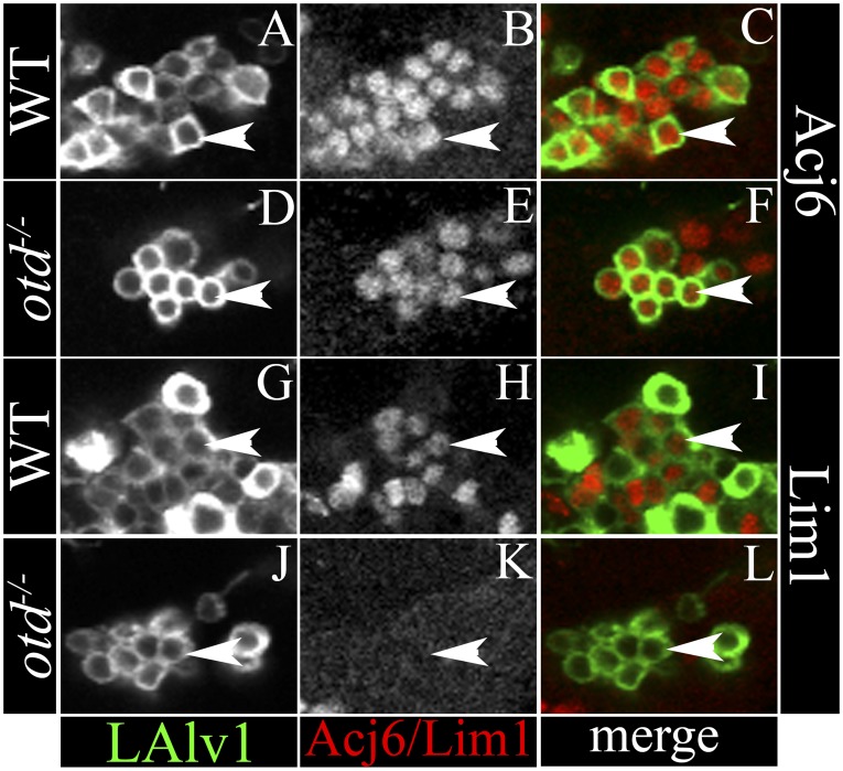 Figure 10.