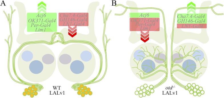 Figure 12.