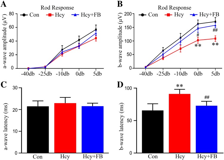 Fig. 2