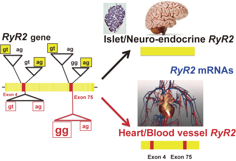 Figure 14. 