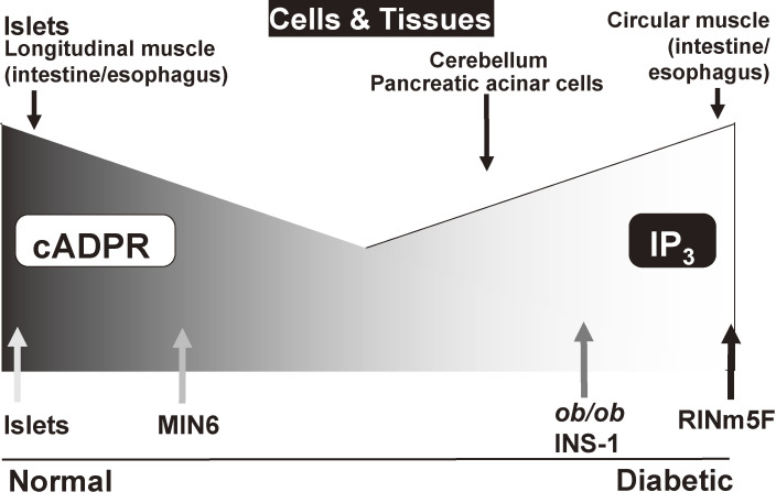 Figure 11. 