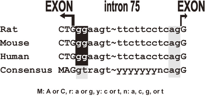 Figure 13. 