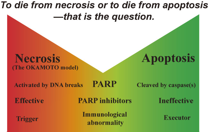 Figure 21. 