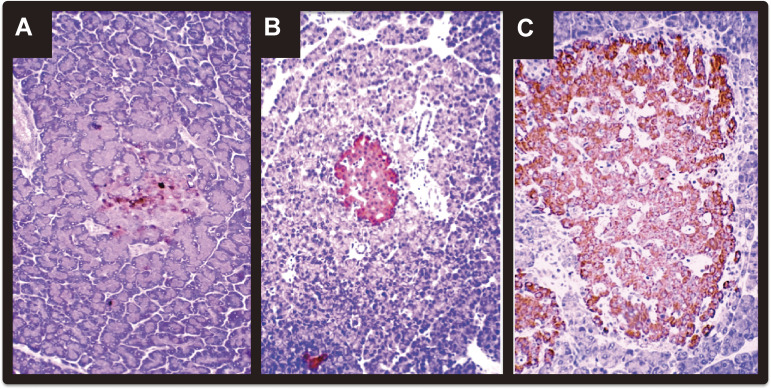 Figure 15. 